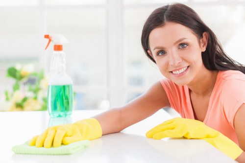 Professional upholstery cleaning on a fabric sofa in a bright living room