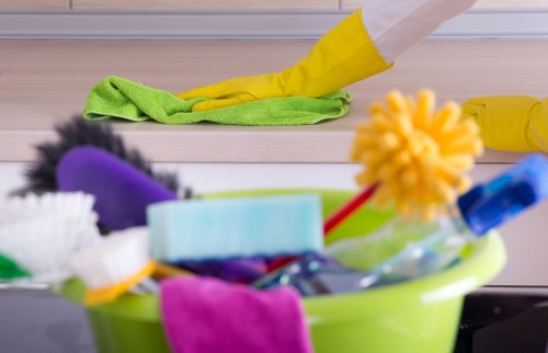 Professional curtain cleaning removing dust from living room drapes