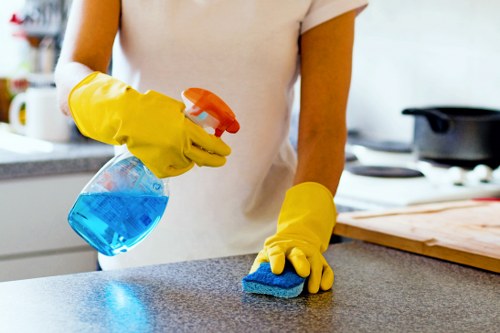 Pet stain odour removal on a carpeted living room floor