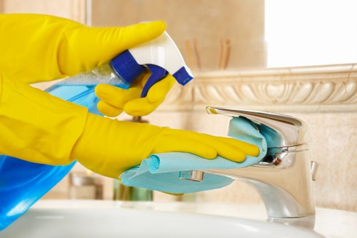 Cleaning supplies arranged for effective stain removal