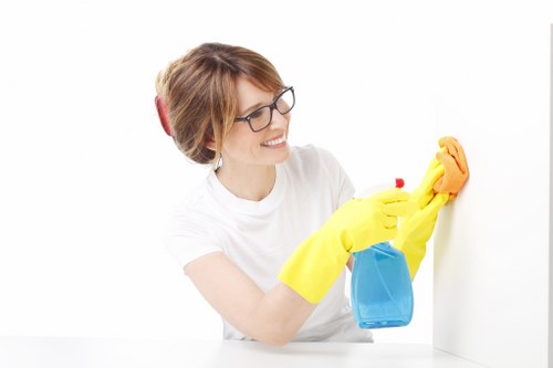 Household carpet cleaning routine with vacuum and spot treatment